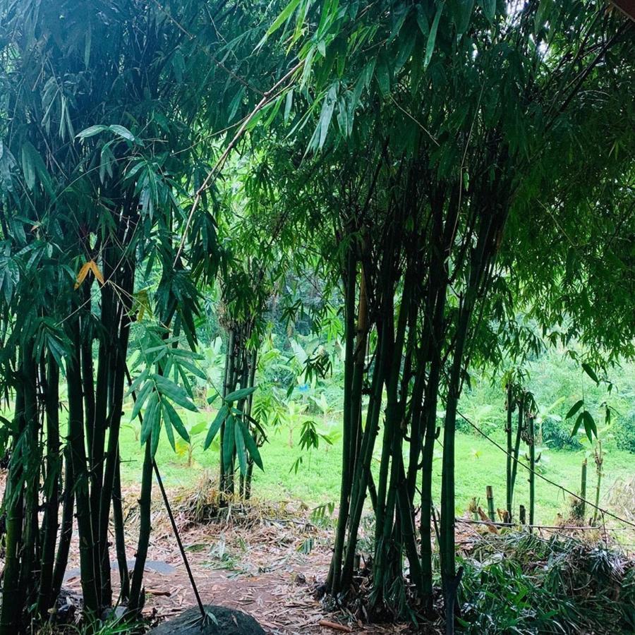 Hotel สวนฉัน Igarden Ban Pang Champi Esterno foto
