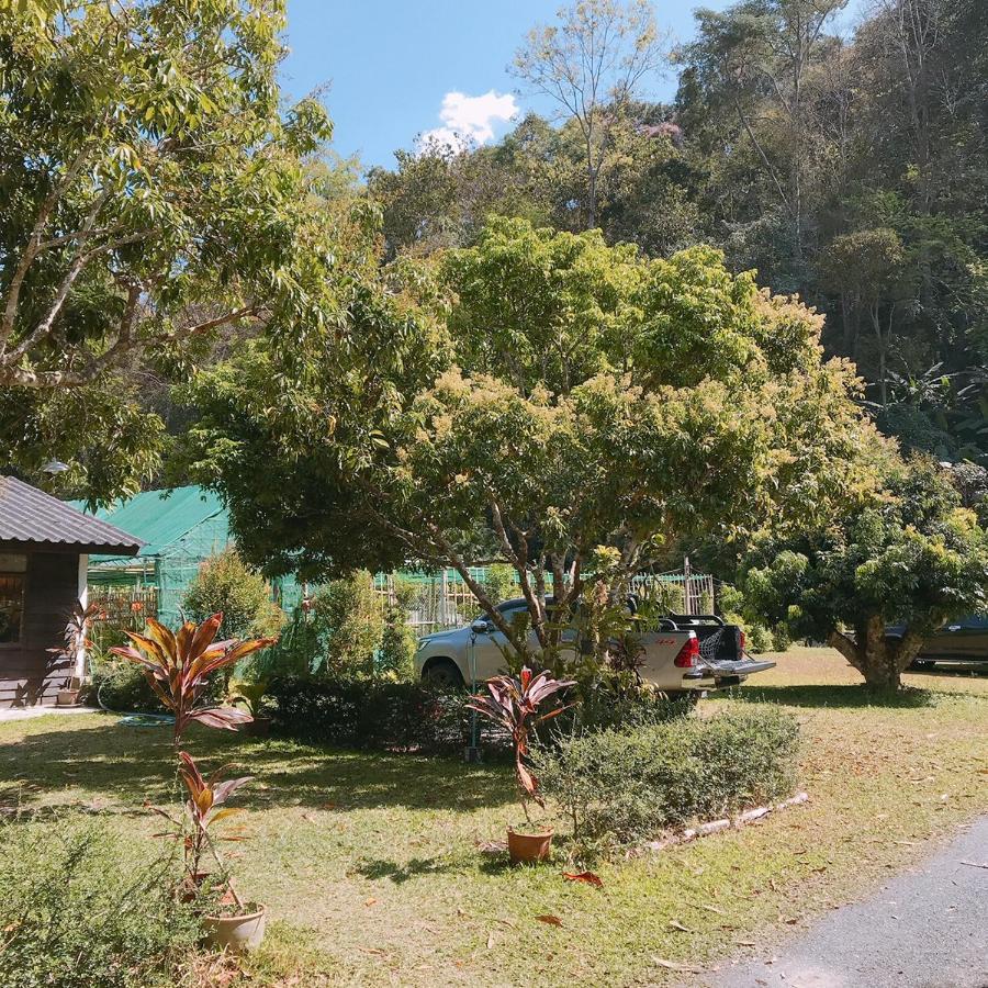 Hotel สวนฉัน Igarden Ban Pang Champi Esterno foto